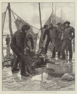 Ślepa miłość — Wilkie Collins